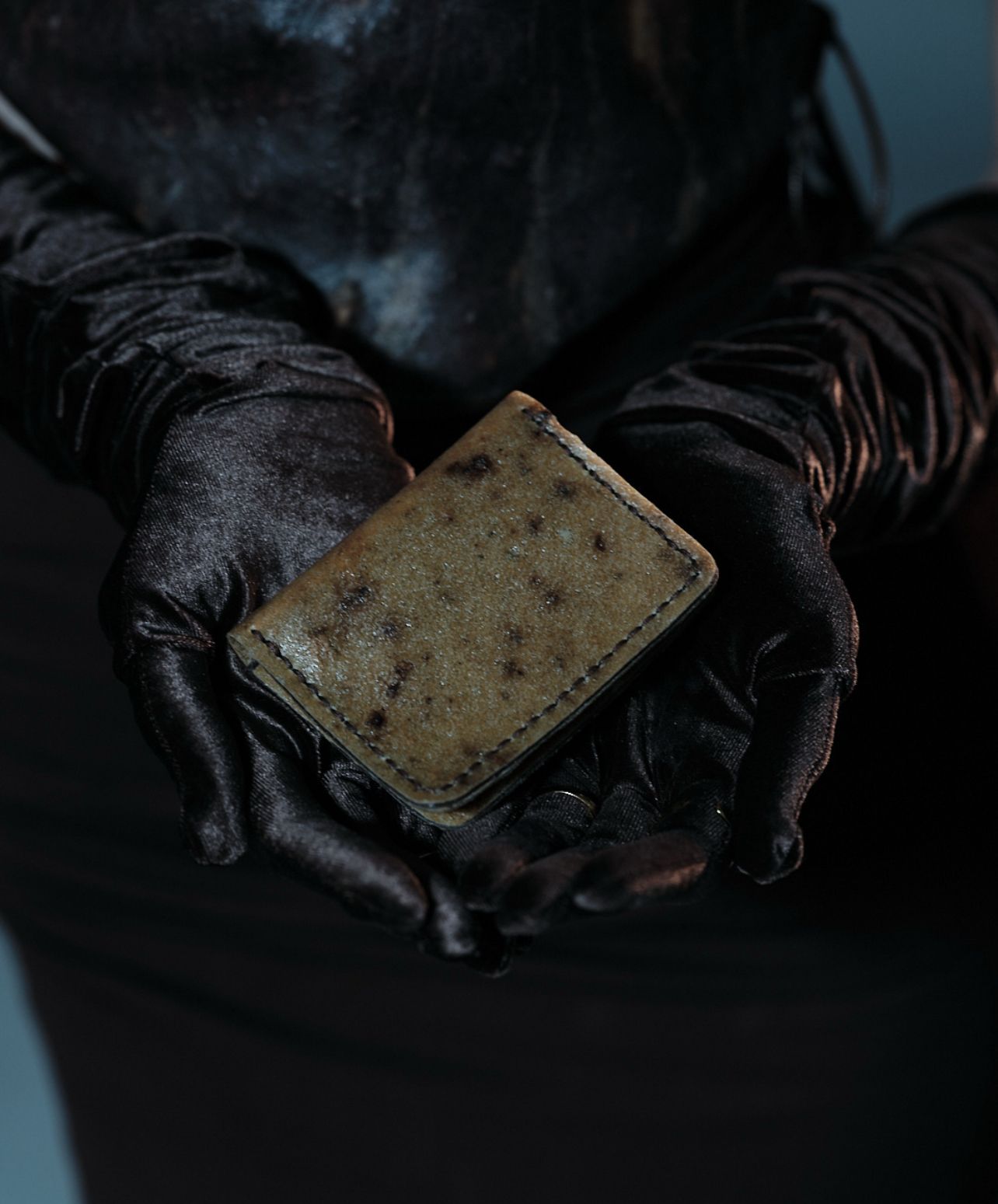 Vestige wallet